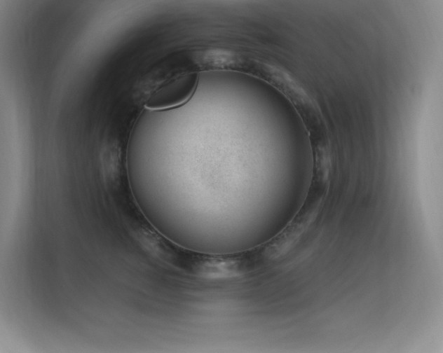 X0000112390760200908131549