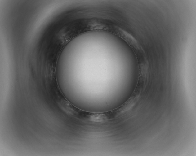 X0000112390761200908131549