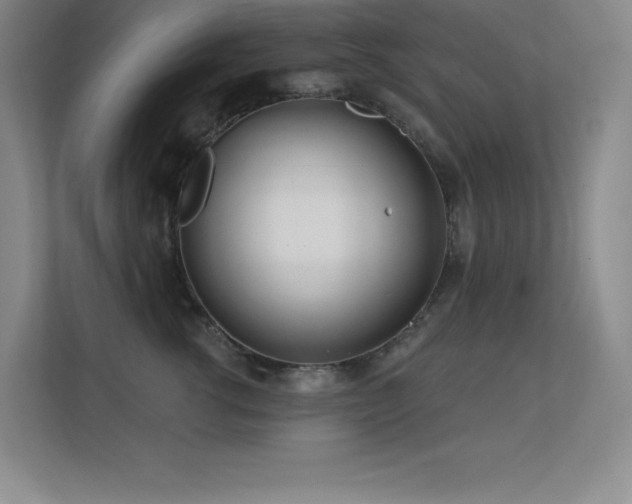 X0000112390762200908131549