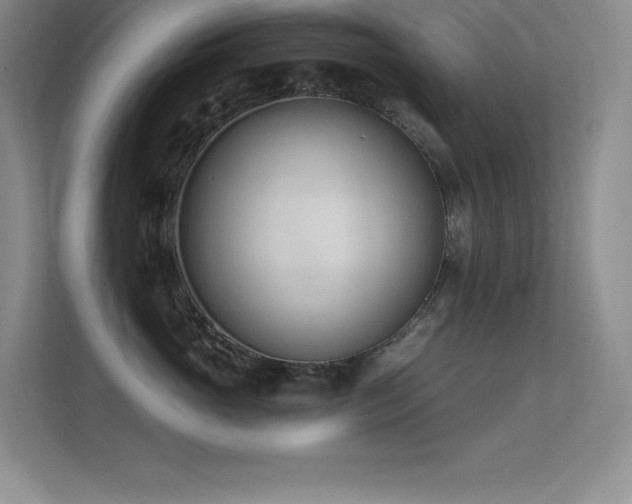 X0000112390765200908131549