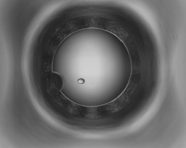 X0000112390766200908131549