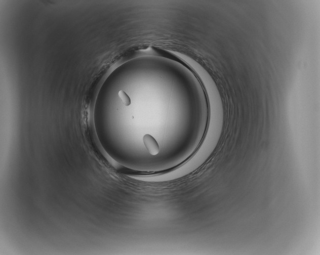 X0000112390768200908131549