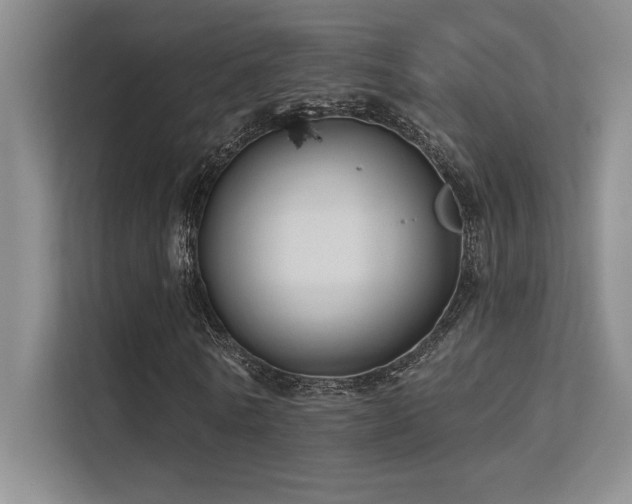 X0000112390770200908131548