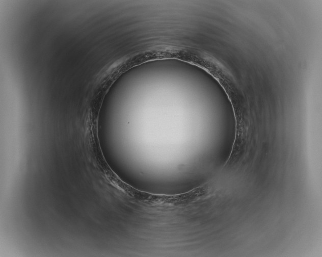 X0000112390773200908131548