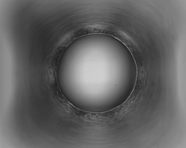 X0000112390774200908131548