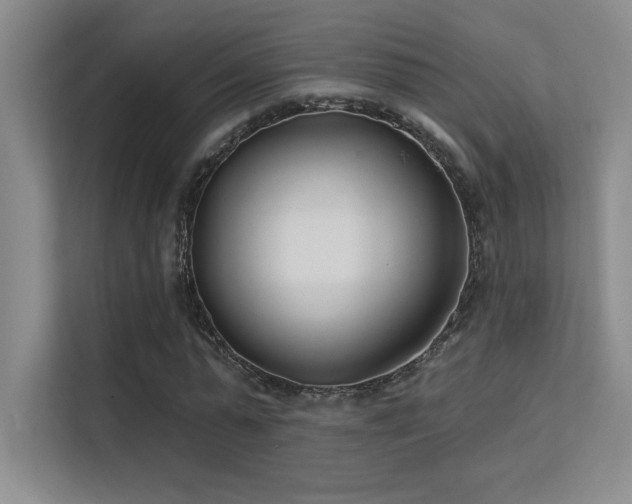 X0000112390775200908131548