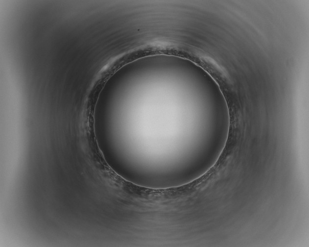 X0000112390776200908131548