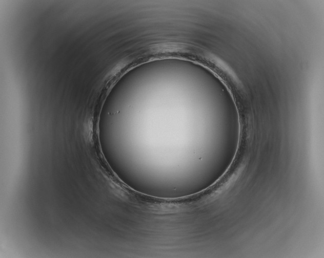 X0000112390777200908131548