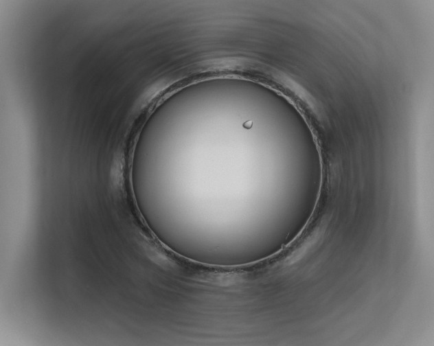 X0000112390778200908131548