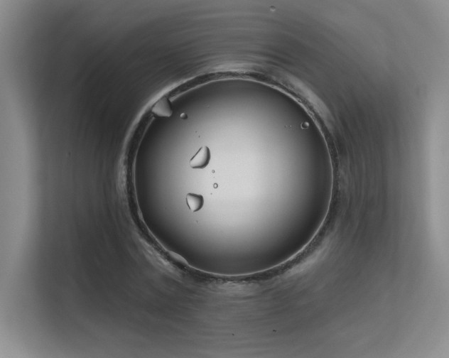 X0000112390779200908131548