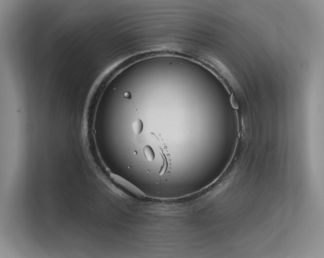 X0000112390780200908131548