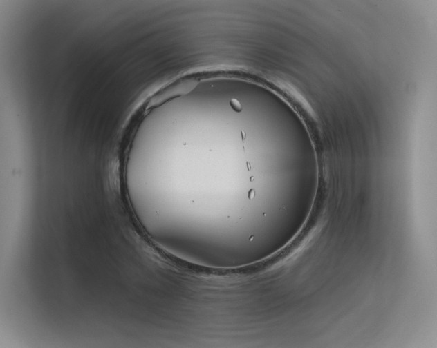 X0000112390781200908131548