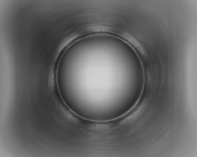 X0000112390782200908131548