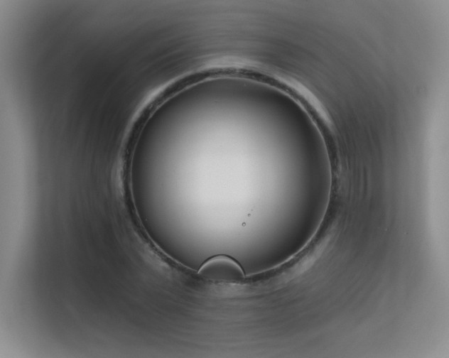 X0000112390783200908131548