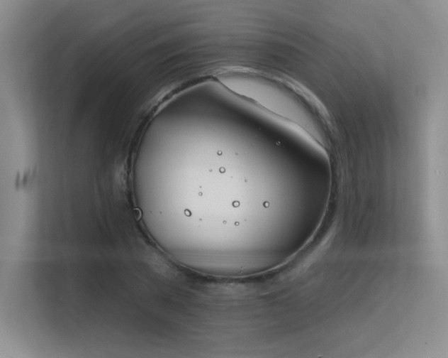 X0000112390785200908131548