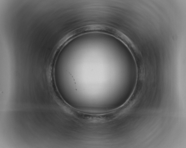 X0000112390786200908131548