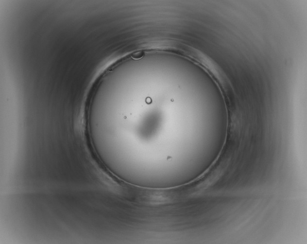 X0000112390787200908131548