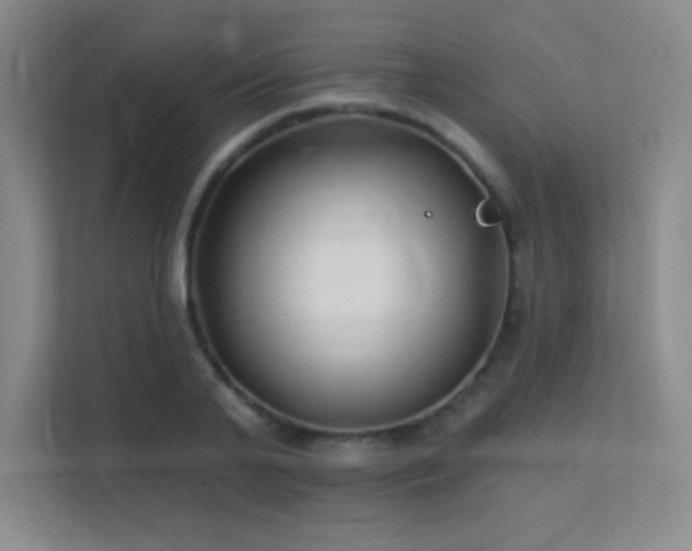 X0000112390791200908131548