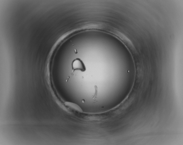 X0000112390792200908131548