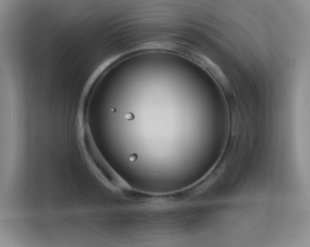 X0000112390796200908131548