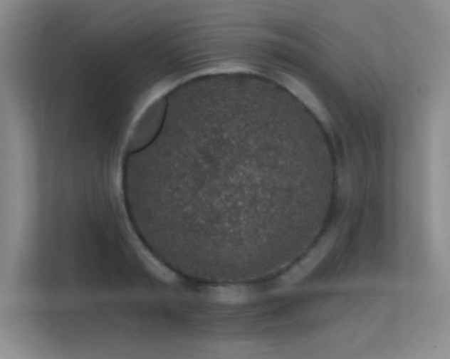 X0000112390797200908131548