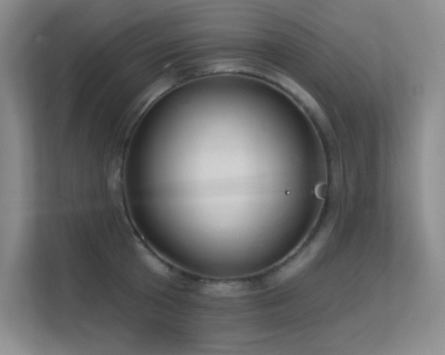 X0000112390801200908131548