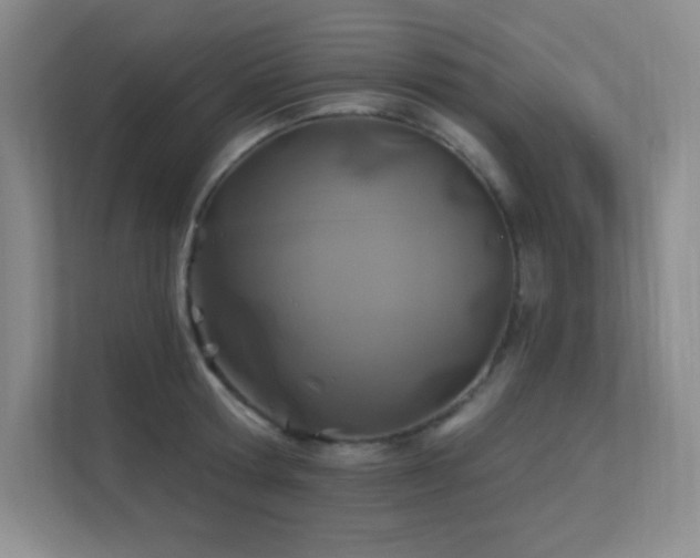 X0000112390802200908131548