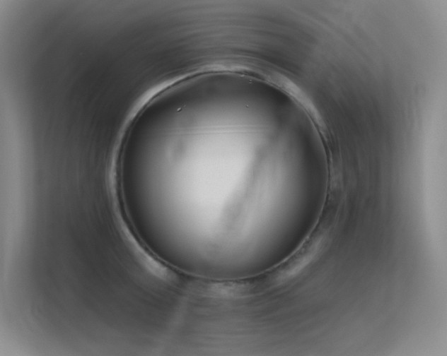 X0000112390803200908131548