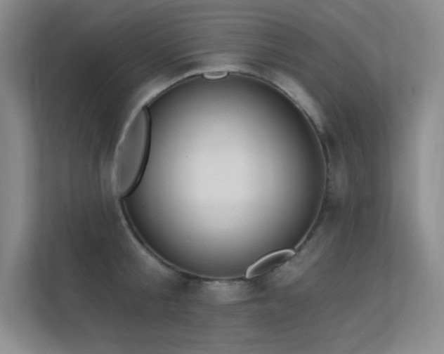 X0000112390805200908131548