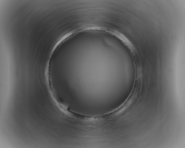 X0000112390806200908131548