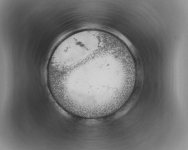 X0000112390807200908131548