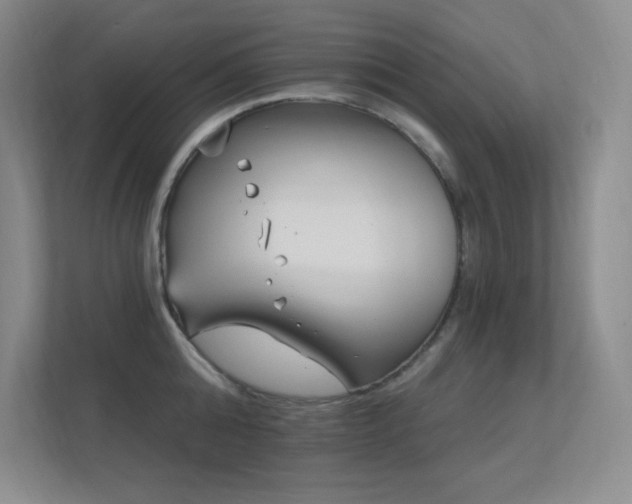 X0000112390808200908131548