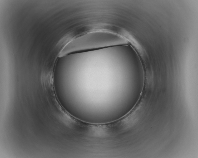 X0000112390809200908131548