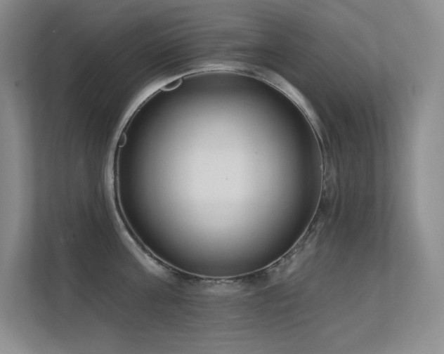 X0000112390811200908131548