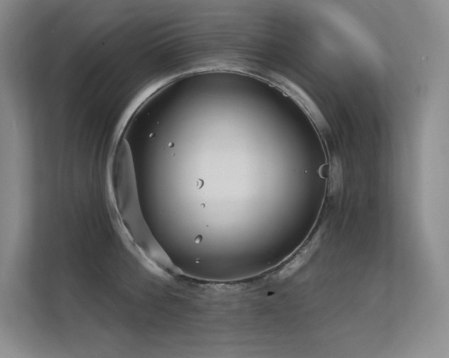 X0000112390812200908131548