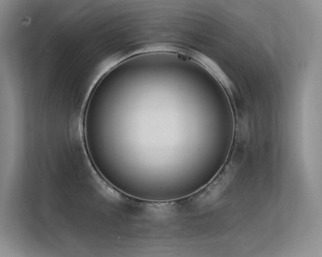 X0000112390813200908131548