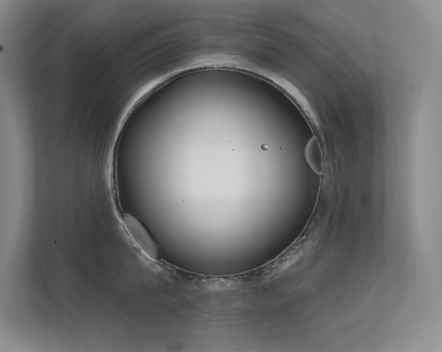 X0000112390815200908131548