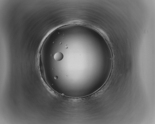 X0000112390816200908131548