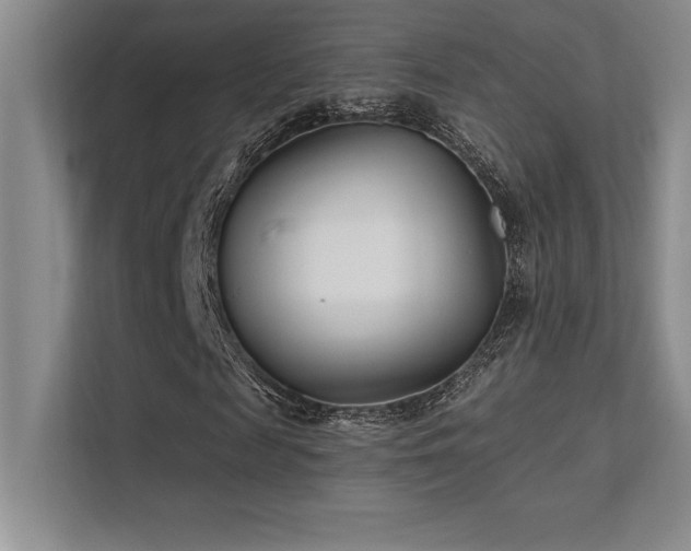 X0000112390817200908131547