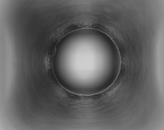 X0000112390818200908131547