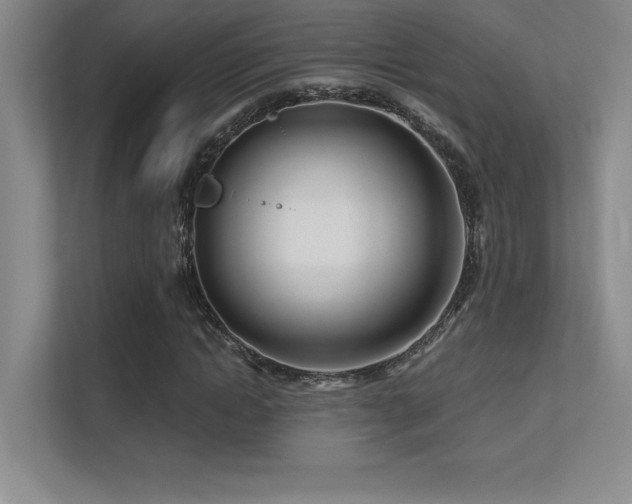 X0000112390822200908131547