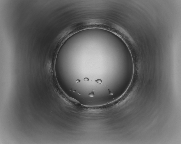 X0000112390825200908131547