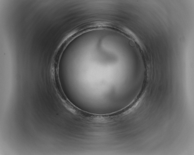 X0000112390827200908131547