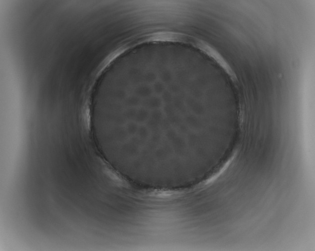 X0000112390829200908131547