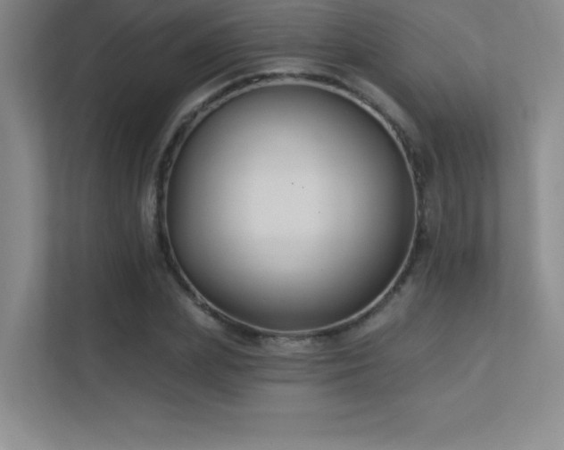 X0000112390831200908131547