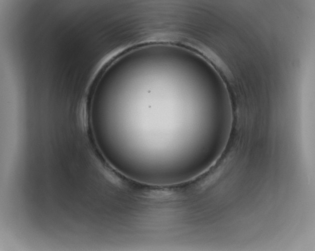 X0000112390838200908131547