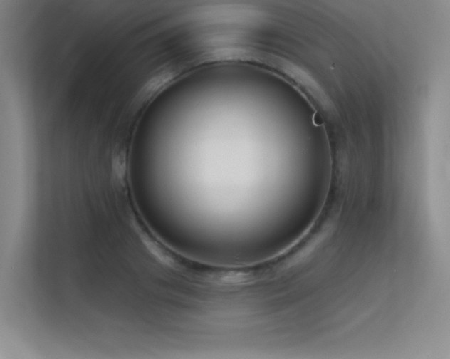 X0000112390841200908131547