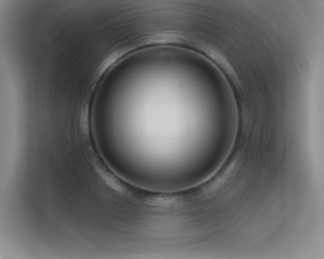 X0000112390842200908131547