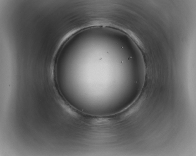 X0000112390846200908131547