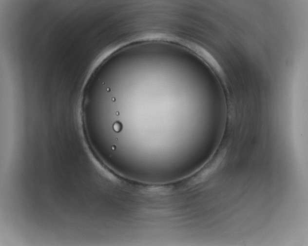 X0000112390847200908131547